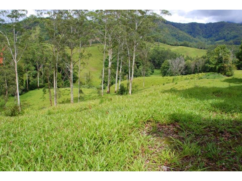 Crystal Creek NSW 2484