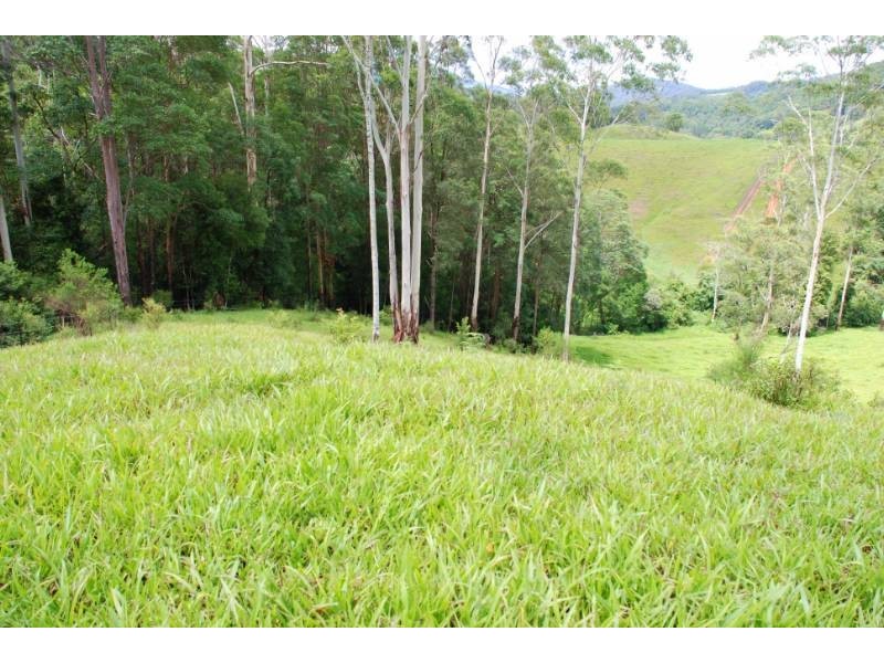 Crystal Creek NSW 2484