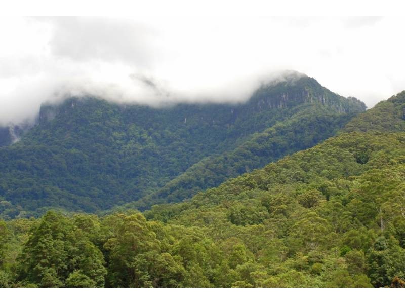 Crystal Creek NSW 2484