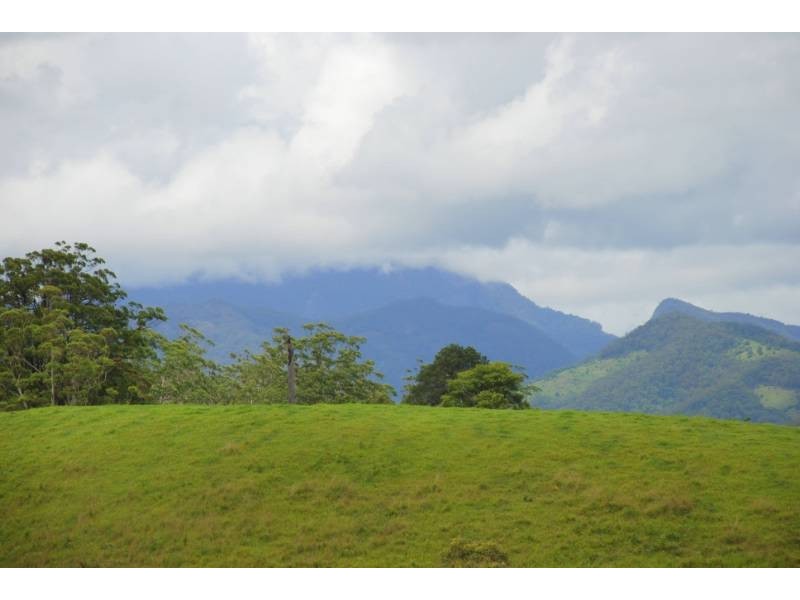 Crystal Creek NSW 2484