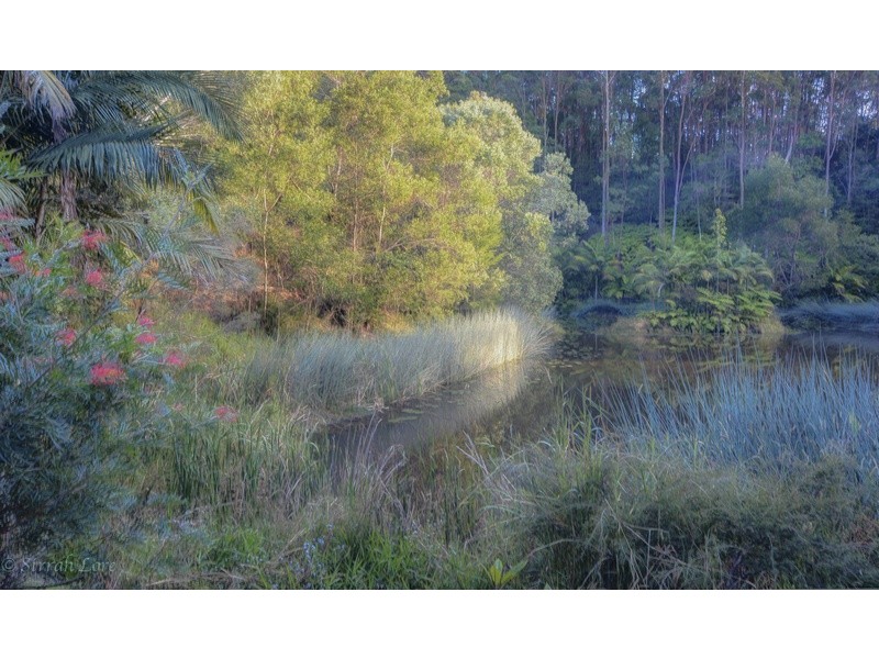 North Tumbulgum NSW 2490