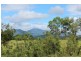 Lot 4 Numinbah Road, Kynnumboon NSW 2484