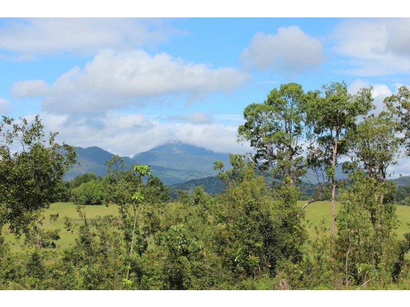 Lot 4 Numinbah Road, Kynnumboon NSW 2484