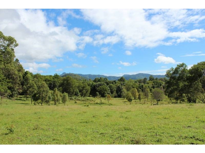 Lot 4 Numinbah Road, Kynnumboon NSW 2484