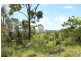 Lot 4 Numinbah Road, Kynnumboon NSW 2484