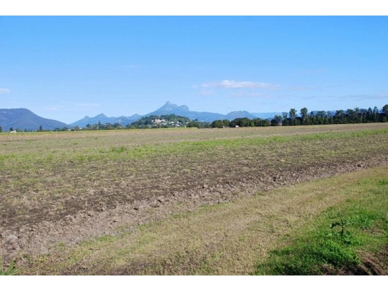 Murwillumbah NSW 2484