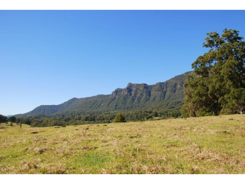 Mount Burrell NSW 2484