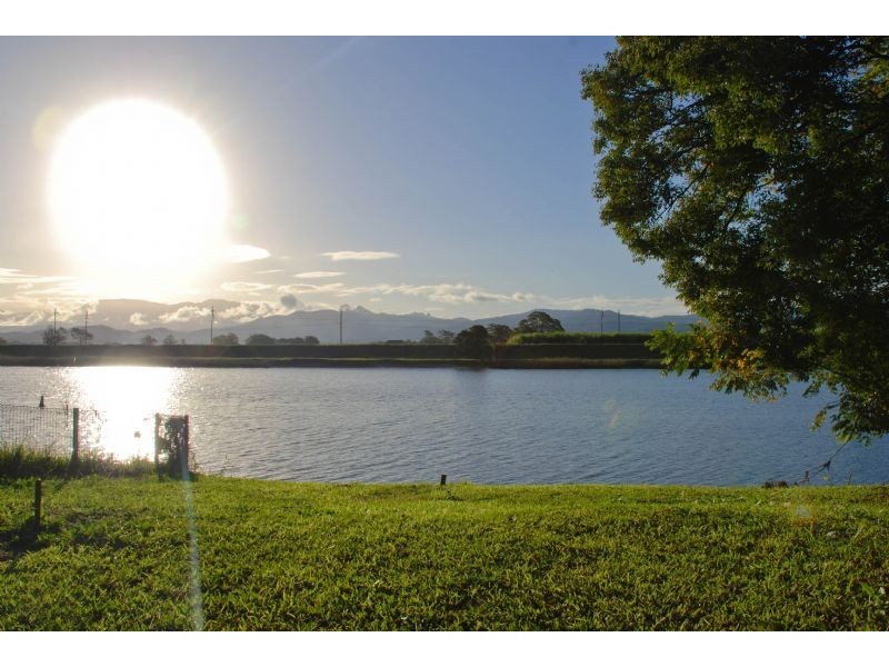 Murwillumbah NSW 2484