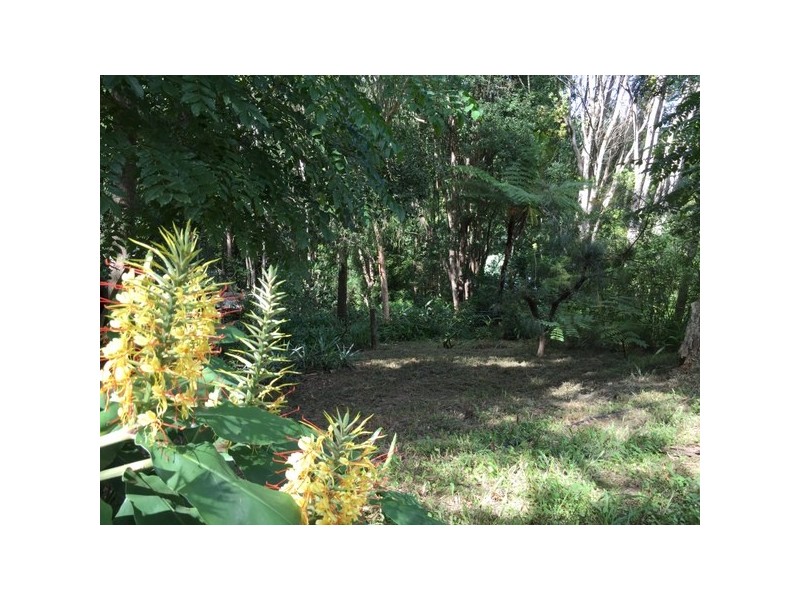 7 Sunrise Place, Uki NSW 2484