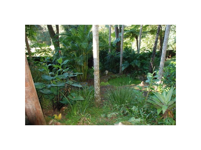 7 Sunrise Place, Uki NSW 2484