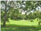 Chillingham NSW 2484