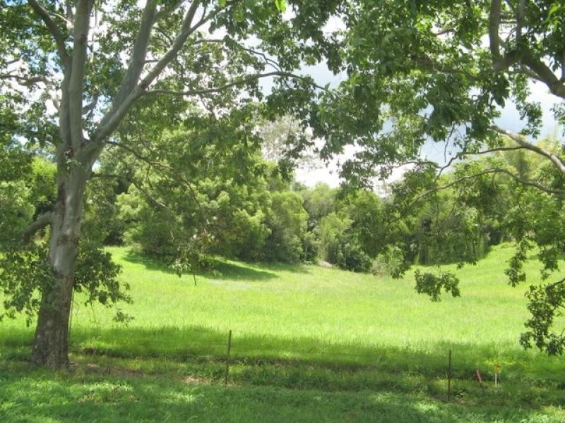 Chillingham NSW 2484