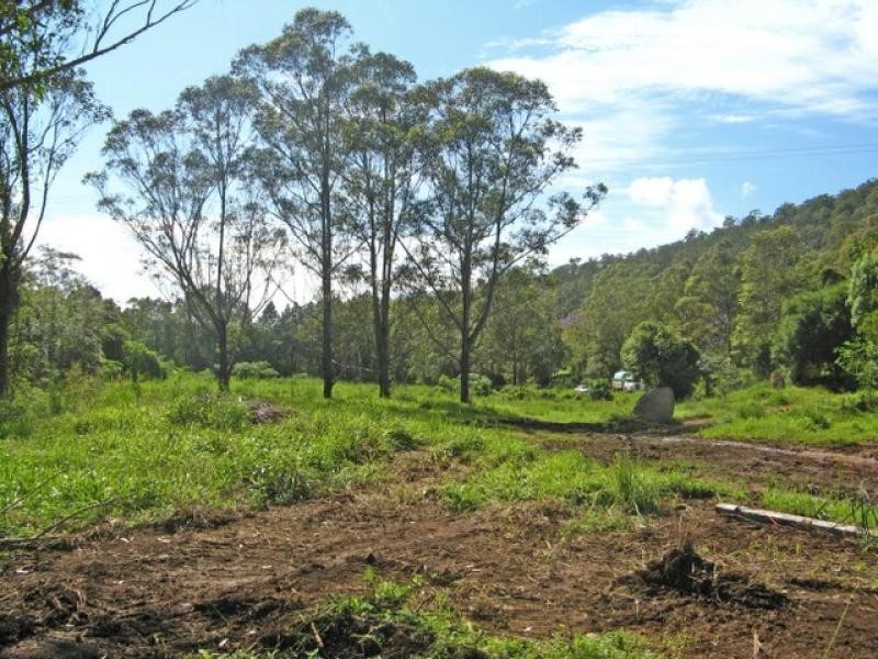 Murwillumbah NSW 2484