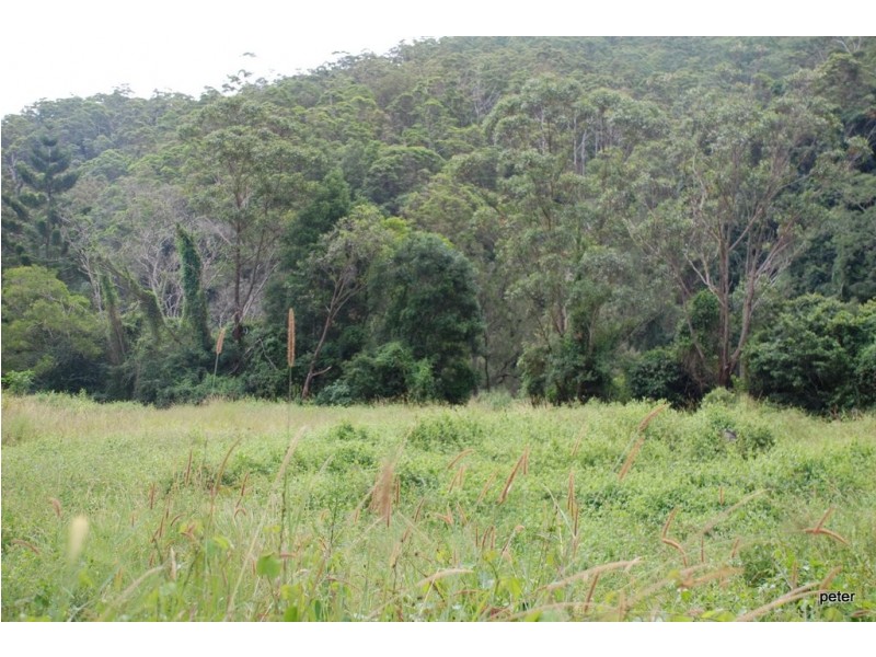 Murwillumbah NSW 2484
