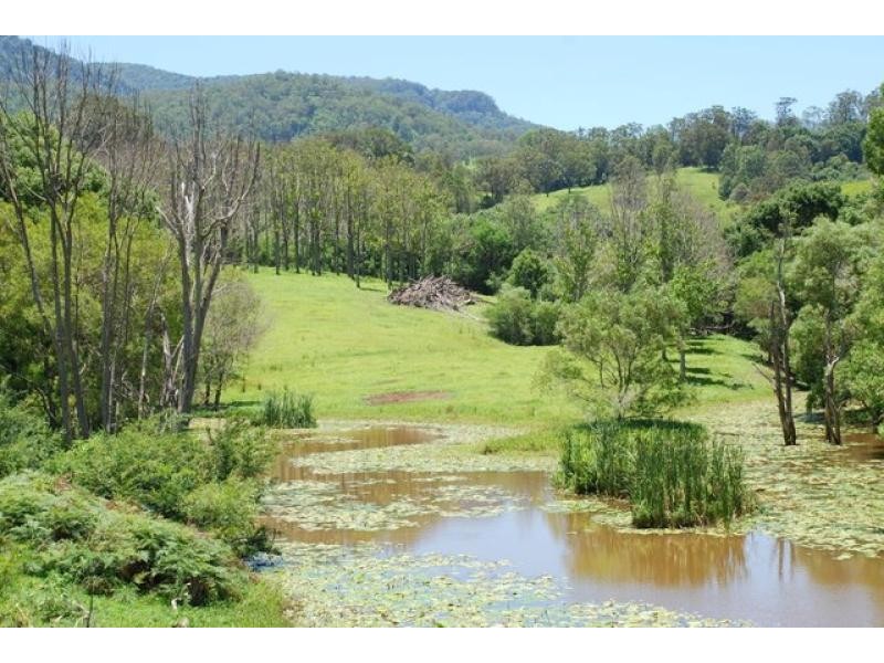 Tyalgum NSW 2484