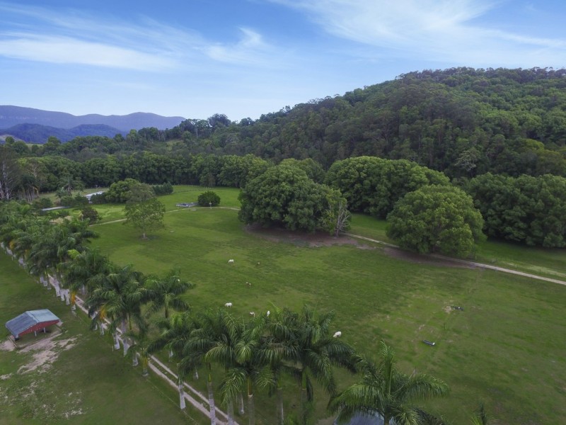 Crystal Creek NSW 2484