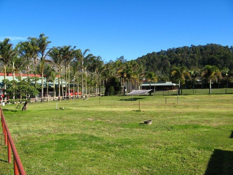 Crystal Creek NSW 2484