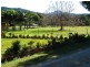 Crystal Creek NSW 2484