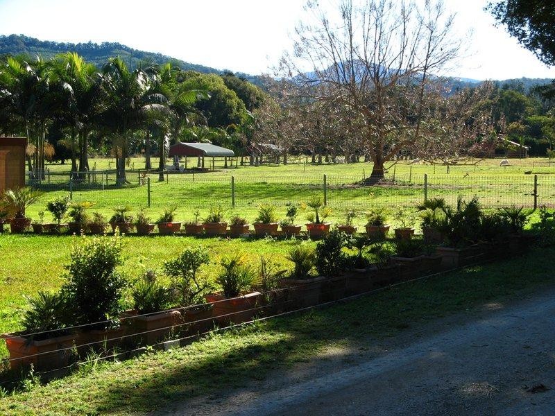 Crystal Creek NSW 2484