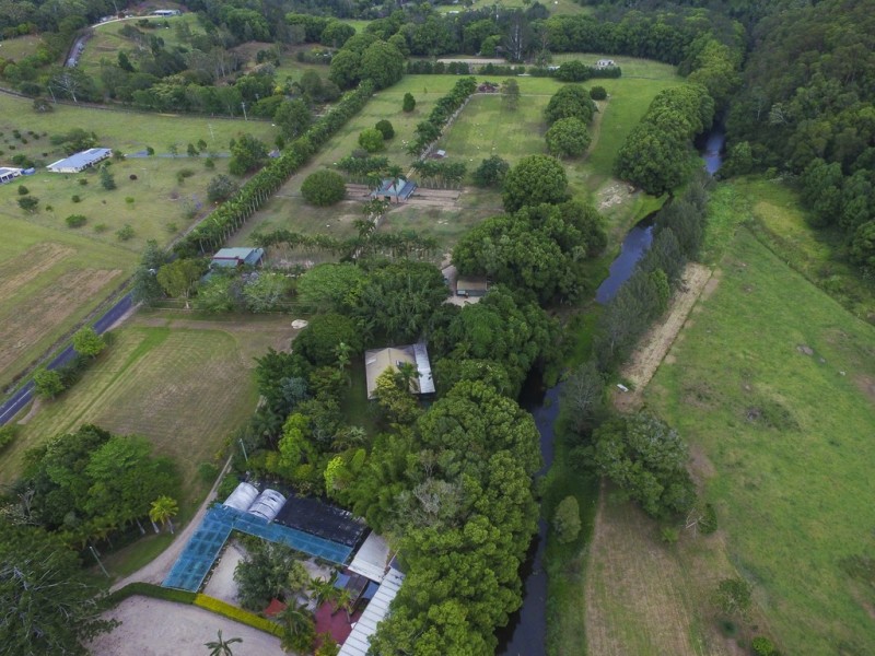 Crystal Creek NSW 2484