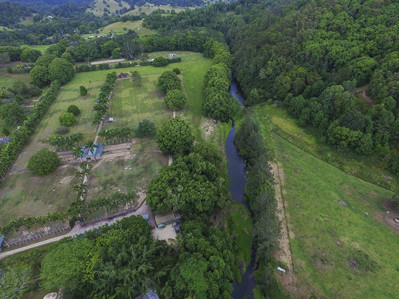 Crystal Creek NSW 2484