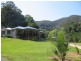 Nobbys Creek NSW 2484