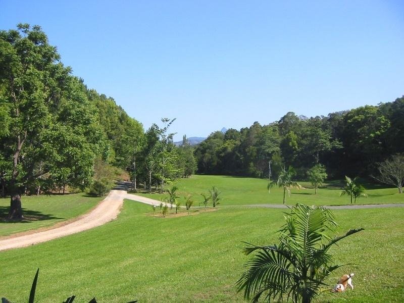 Nobbys Creek NSW 2484