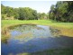 Nobbys Creek NSW 2484