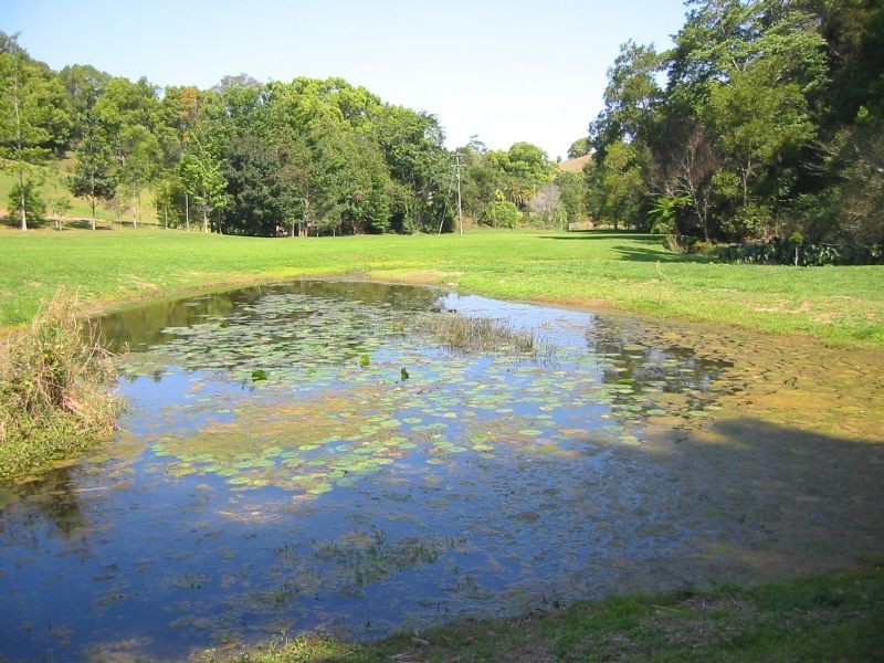Nobbys Creek NSW 2484