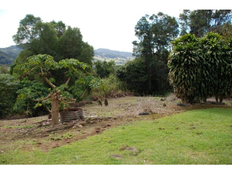 Reserve Creek NSW 2484