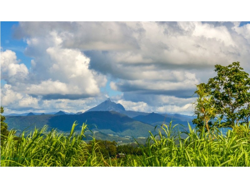 Reserve Creek NSW 2484