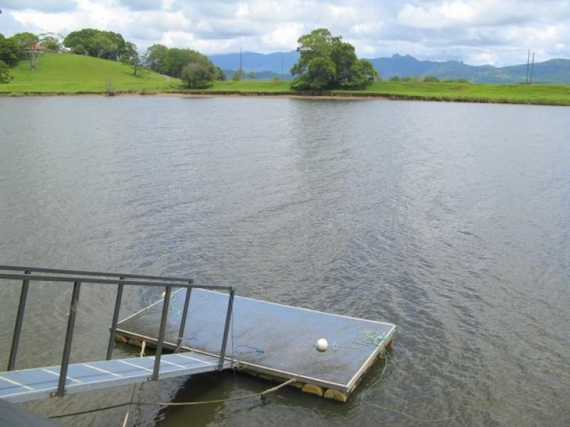 Murwillumbah NSW 2484