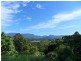 108 Crooks Valley Rd, Crystal Creek NSW 2484