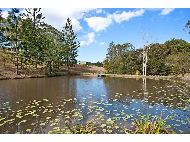 Fernvale NSW 2484
