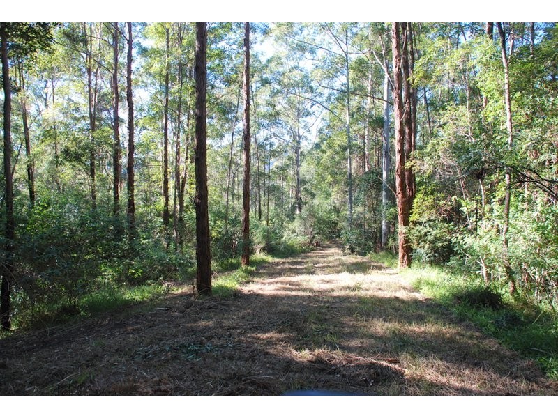 Chillingham NSW 2484
