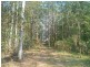 Chillingham NSW 2484