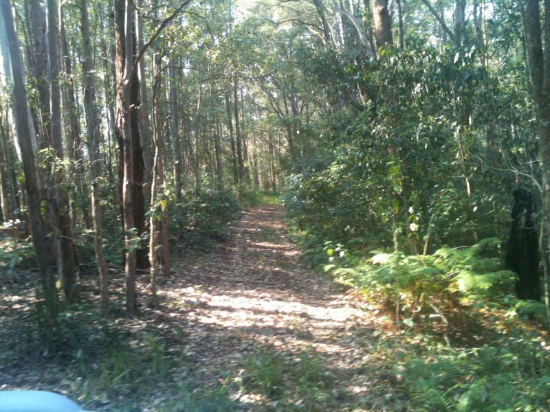 Chillingham NSW 2484