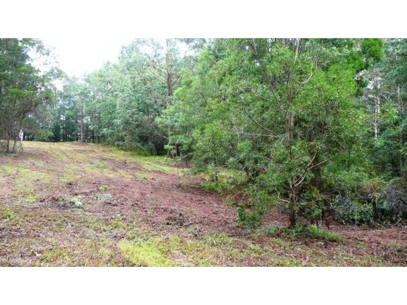 Chillingham NSW 2484