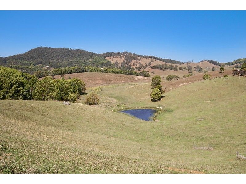 Nobbys Creek NSW 2484