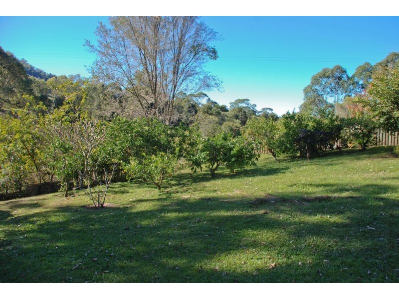24 Bald Mountain Road, Limpinwood NSW 2484