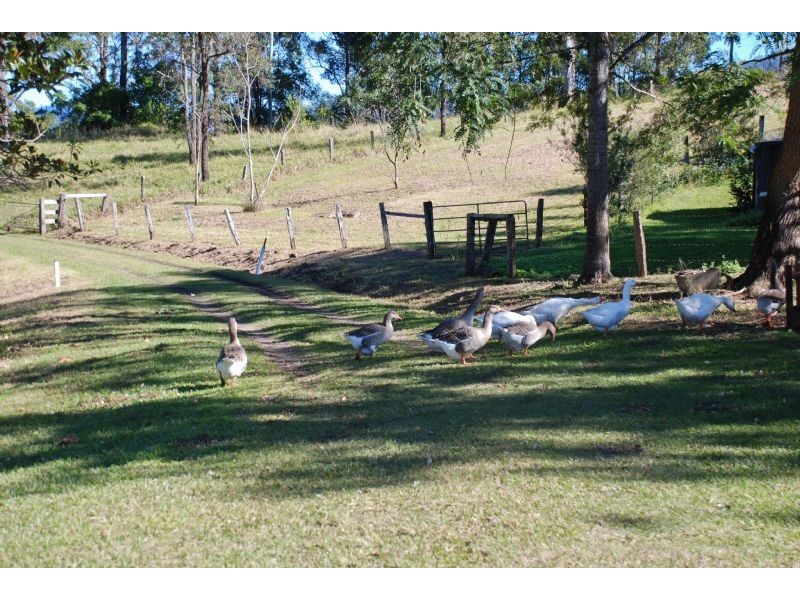 24 Bald Mountain Road, Limpinwood NSW 2484