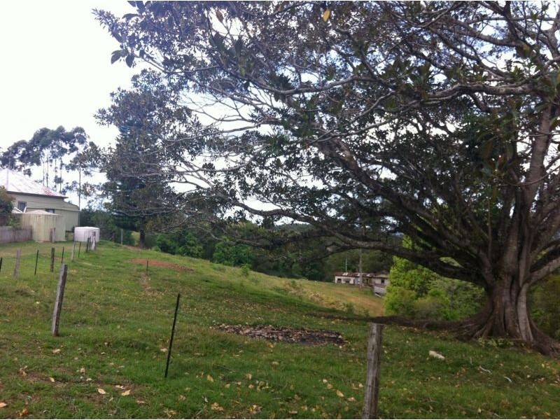 24 Bald Mountain Road, Limpinwood NSW 2484