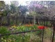 24 Bald Mountain Road, Limpinwood NSW 2484
