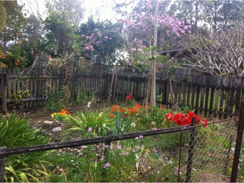 24 Bald Mountain Road, Limpinwood NSW 2484