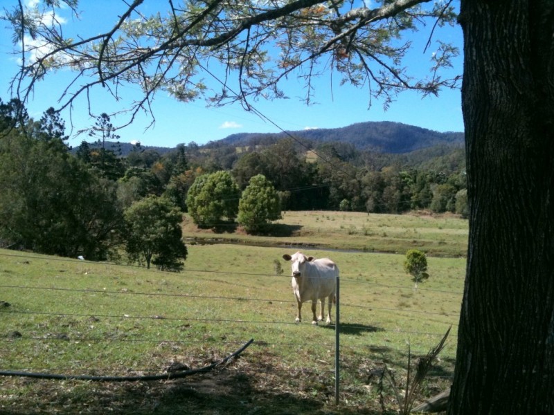 637 Doon Doon Rd, Doon Doon NSW 2484