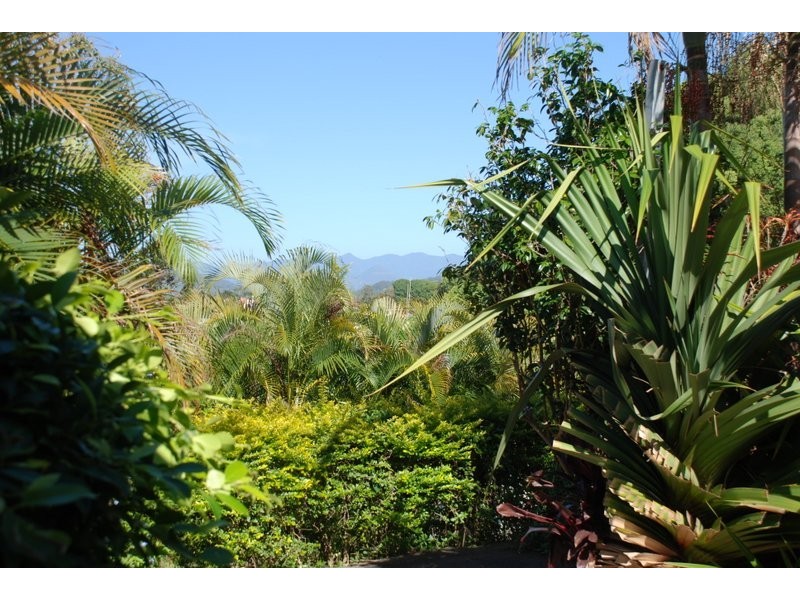 Murwillumbah NSW 2484