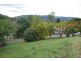 8 Marshall Street, Uki NSW 2484