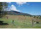 Dunbible NSW 2484