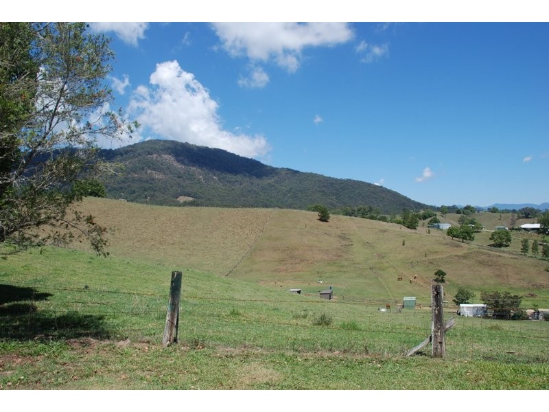 Dunbible NSW 2484