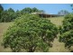 Dunbible NSW 2484